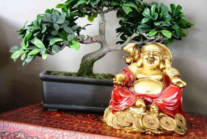 Felicidade e prosperidade no lar segundo o Feng Shui